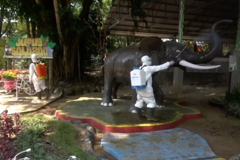 Taman satwa Jurug ditutup sementara mulai 1 Juli 2022