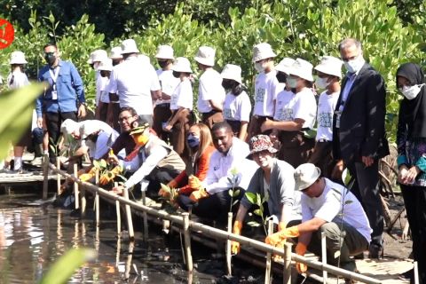 Kurangi risiko bencana, pemerintah dan delegasi GPDRR tanam bakau