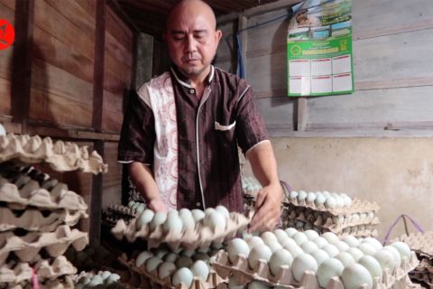 Hari kelima lebaran, aktivitas pasar di Banjarmasin berangsur normal