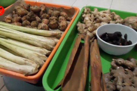 Obat tradisional di fasyankes jadi upaya promotif dan preventif