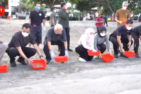 Wapres Ma’ruf lepas anak penyu di KBSTCC Bali