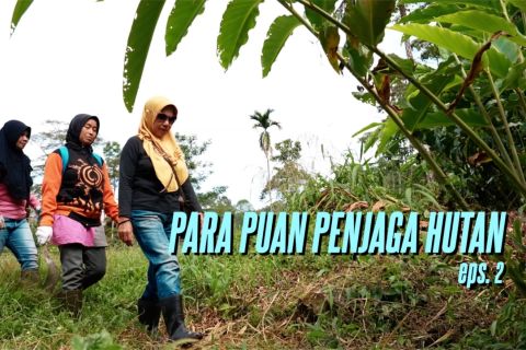 Mata Indonesia - Para Puan Penjaga Hutan (eps. 2)