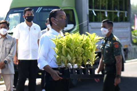 Presiden Jokowi resmikan Persemaian Rumpin di Bogor