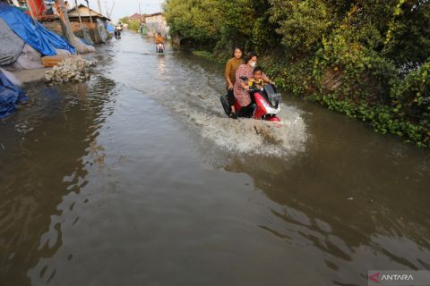 Banjir rob di Indramayu