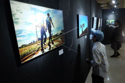 Pameran foto Amoeba