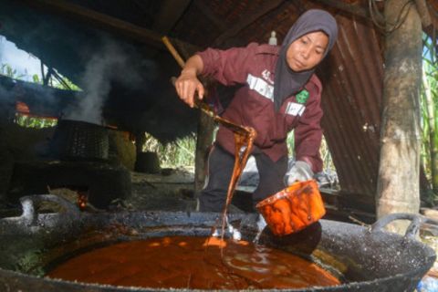 Produksi Gula Saka Lawang