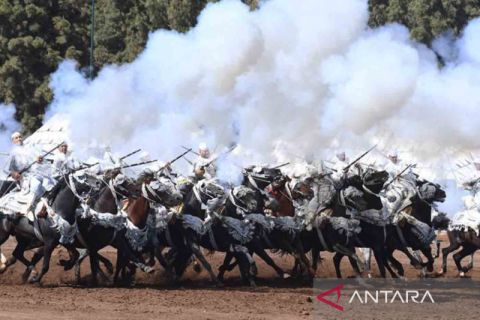 Pertunjukan berkuda Fantasia khas Maroko