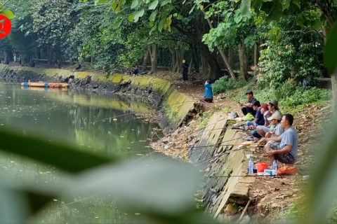 Hutan Kota Srengseng jadi lokasi yang sejuk untuk bersantai