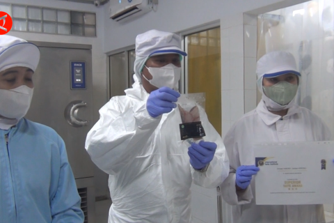 Ikan kerapu Himono Maluku raih penghargaan di Belgia