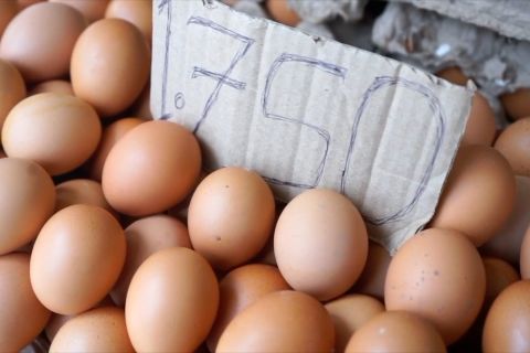 Indeks pangan global meningkat 16,08% akibat konflik Rusia-Ukraina