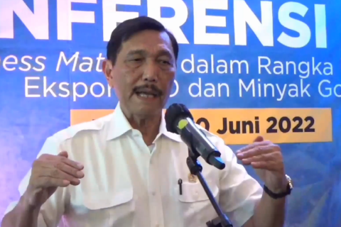 Luhut akan tindak tegas pengusaha minyak goreng yang melenceng