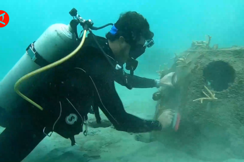 Mengunjungi proyek restorasi terumbu karang di Panama