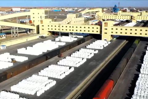 Pengembangan hijau danau garam terbesar di China