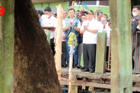 Dukung desa wisata, PLN bangun dermaga di Kampung Hijau Banjarmasin
