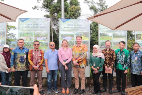 Sukses kembangkan sapi, Australia puji Siska Kuintip di Kalsel