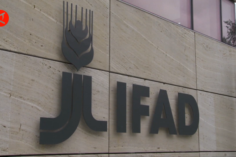 Telah terbit obligasi pembangunan pertanian dari IFAD