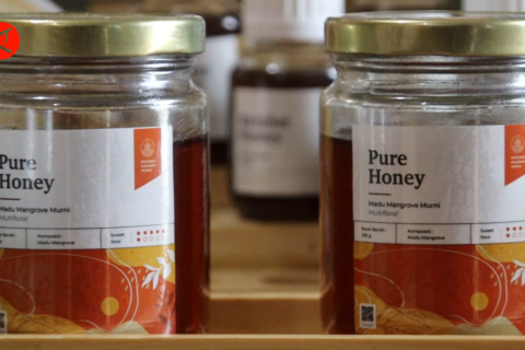 Teknik silvikultur di lahan rehabilitasi hasilkan produk bermanfaat