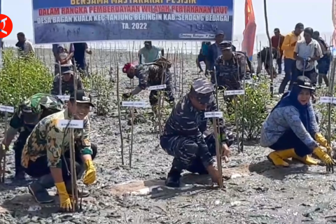TNI AL dan masyarakat jaga pesisir  timur Sumatera dari abrasi
