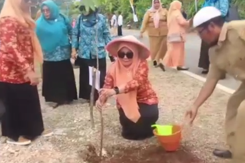 TP PKK  Halmahera Tengah  tanam pohon di  pantai Pulau Gebe