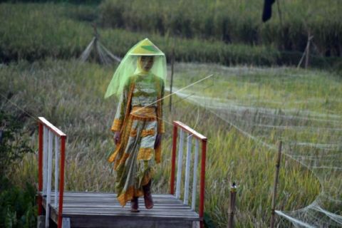 Wow...!!!, Ada peragaan busana di tengah sawah