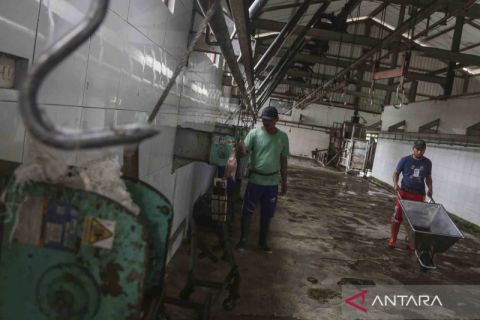 Imbauan pemerintah tentang penyembelihan hewan kurban di RPH