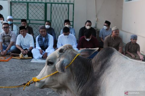 Shalat Idul Adha Muhammadiyah Palembang