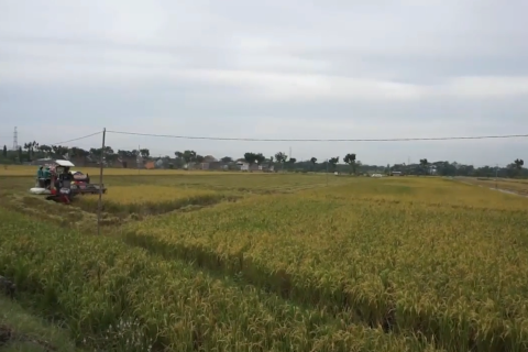 10 Hektare lahan persawahan organik di Ngawi sudah bersertifikat SNI