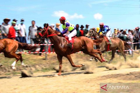 Pacuan kuda tradisional di Kabupaten Jeneponto