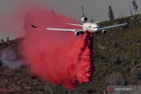 Pengendalian kebakaran Oak Fire di California