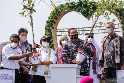 Peringatan Hari Mangrove Sedunia
