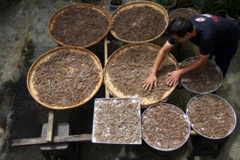 Kerupuk Tulang Ikan Tuna