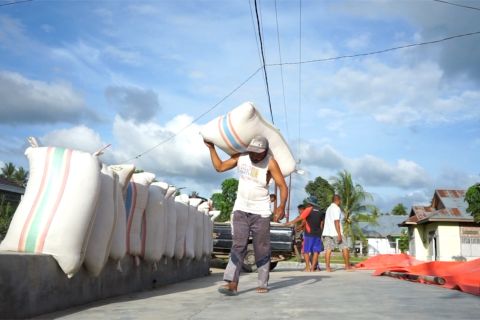 Beras jadi komoditi paling mempengaruhi angka kemiskinan Gorontalo