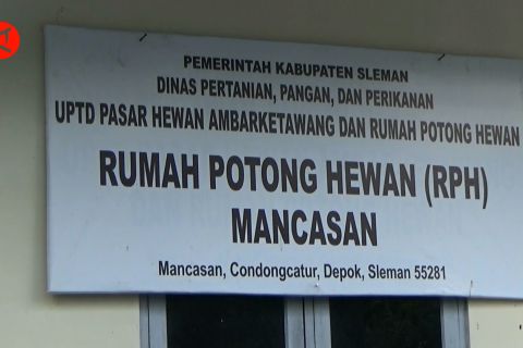 Cegah PMK, RPH jadi andalan sembelih hewan kurban