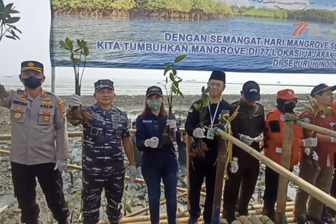 Lanal Banten tanam 2.000 bibit mangrove di kawasan wisata Pancer