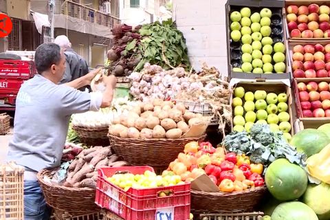 Mesir cari dukungan internasional untuk atasi krisis pangan