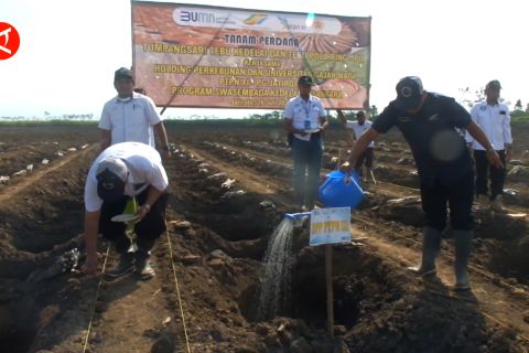 PTPN XI kembangkan sistem Bule untuk wujudkan ketahanan pangan
