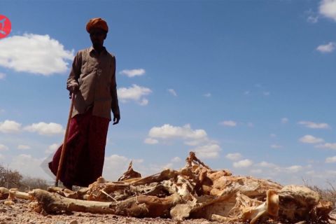 Afrika yang masih bergulat dengan kekeringan dan kelaparan