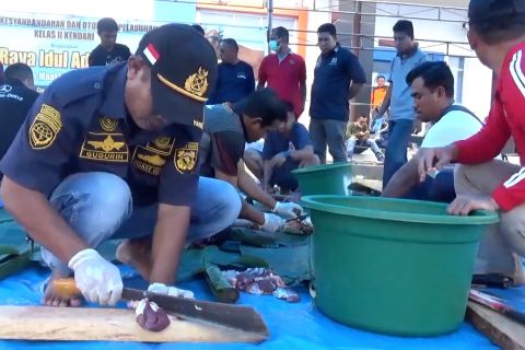 KSOP Kendari salurkan 10 ekor sapi kurban untuk buruh pelabuhan