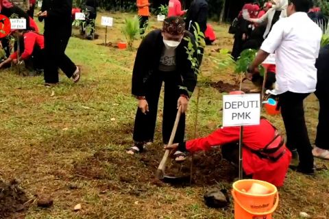 Menko PMK dukung Majalengka tanam 10 juta pohon