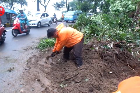 Tebing Gumitir longsor, jalur Banyuwangi-Jember terganggu