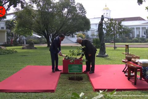 Momen Presiden Timor Leste dan Jokowi tanam pohon di Istana Bogor