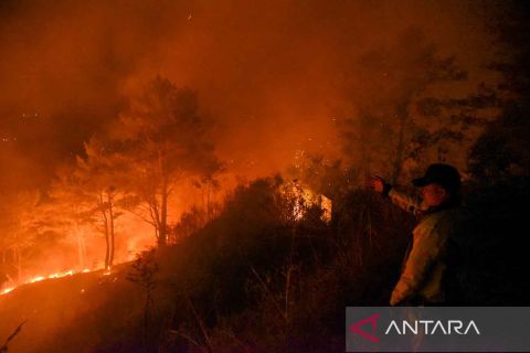 Kebakaran hutan dan lahan di Samosir