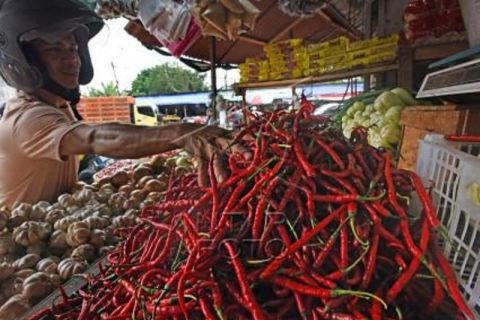 Harga Cabai Merah Naik