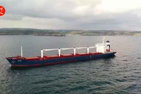 Kapal gandum Ukraina tunggu pemeriksaan di lepas pantai Istanbul