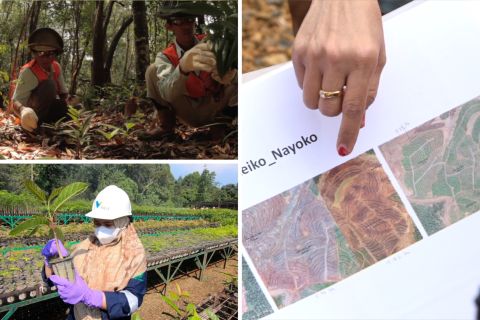 Mengintip reklamasi lahan bekas tambang di Sorowako Sulawesi Selatan