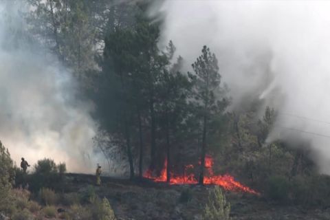 Perjuangan petugas damkar taklukkan kobaran api di perbukitan Portugal