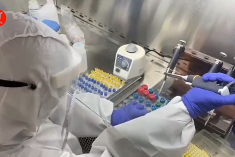 Pertemuan ketiga HWG fokus pada diversifikasi vaksin dan obat