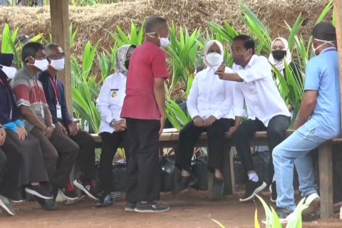 Presiden ajak warga tanam kelapa genjah bangkitkan lahan produktif