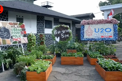 Program ketahanan pangan Buruan Sae masuk agenda konferensi U20