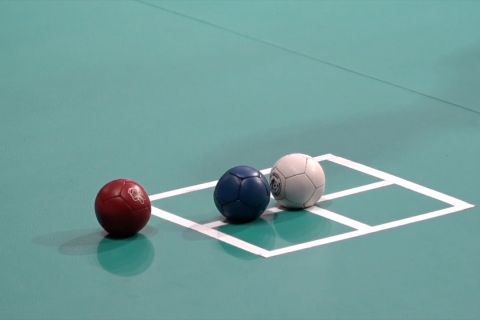 Debut cabor Boccia raih satu emas